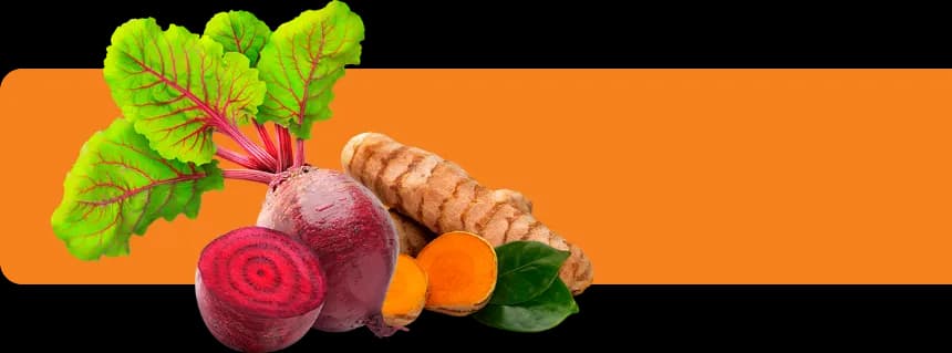 https://painel-nutridani.codiehost.com.br/uploads/133413471139881676.webp